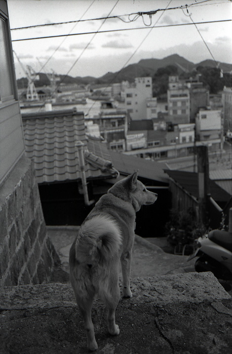 091004_onomichi