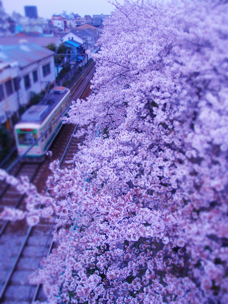 110410_0447